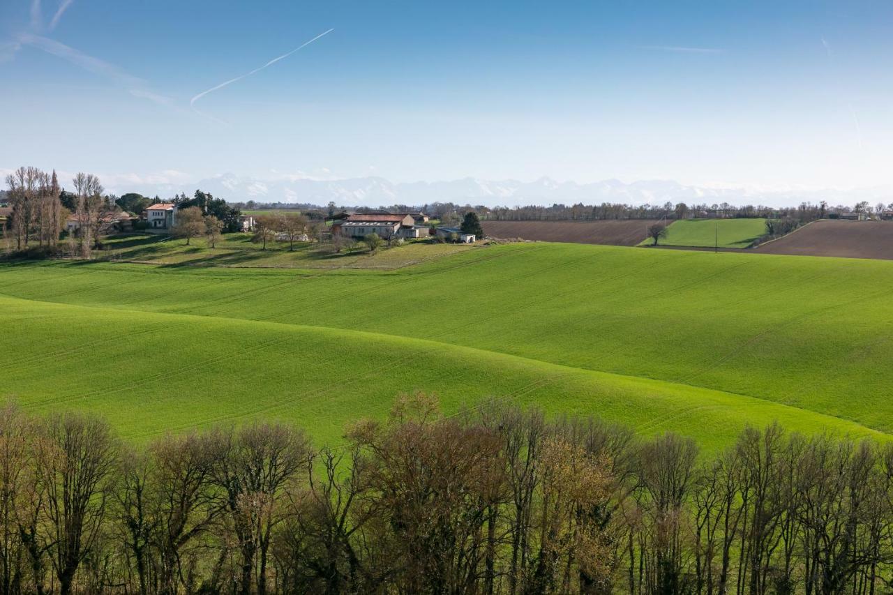 Villa Peyrigue Seysses-Saves Exteriör bild